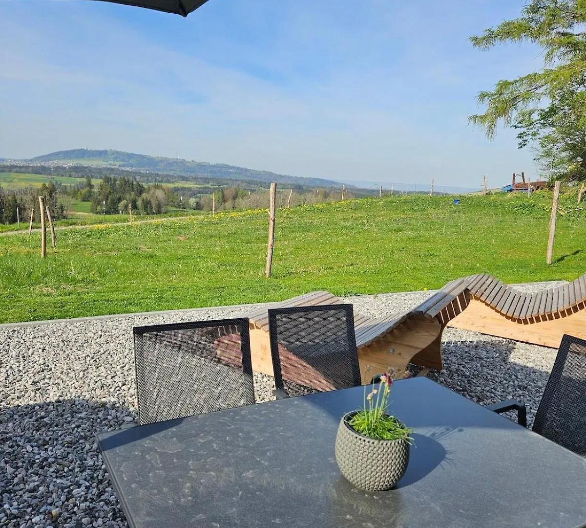 Beautiful New Building Attic Apartment Viktoria Bobing Germany